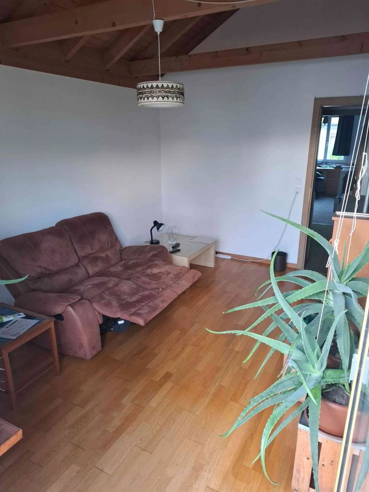 1 rooms Flat-sharing for rent in Effretikon - image 1/8
