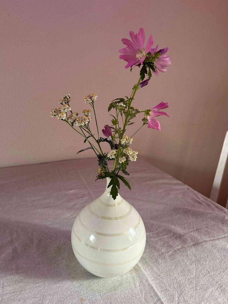 1 rooms Flat-sharing for rent in Zürich - image 1/1