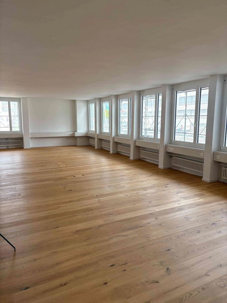 Bürofläche (70-100m²) direkt bei der Hardbrücke, Zürich - Ansicht 3