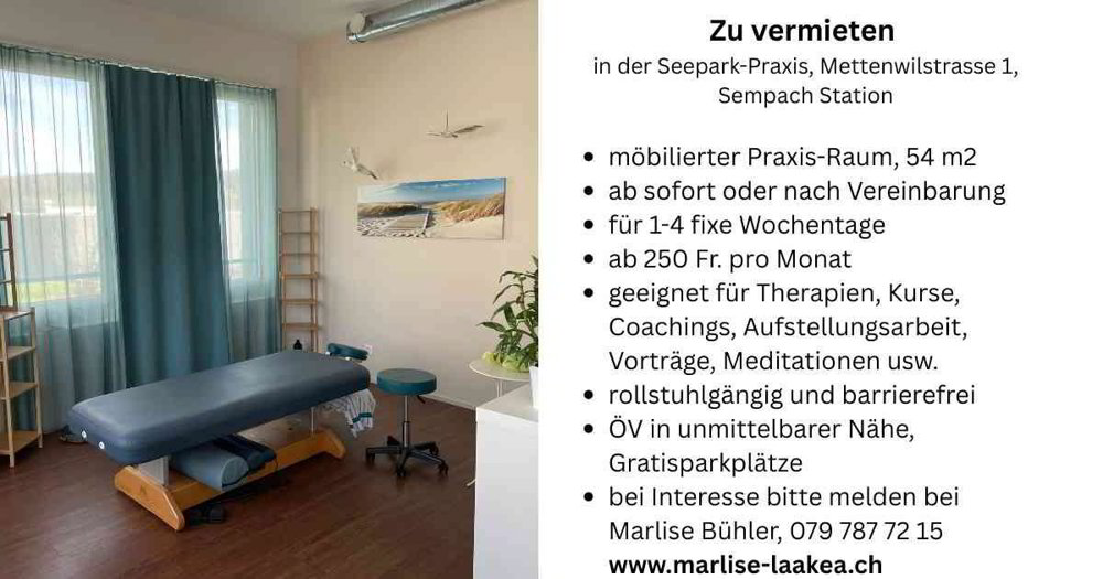 Grosser, heller und ruhiger Praxis- und Schulungsraum - Ansicht 2