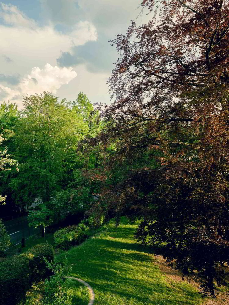 Full-Service-Büro, neben HSG, 3–5 Arbeitsplätze, Villa mit Garten - Ansicht 2