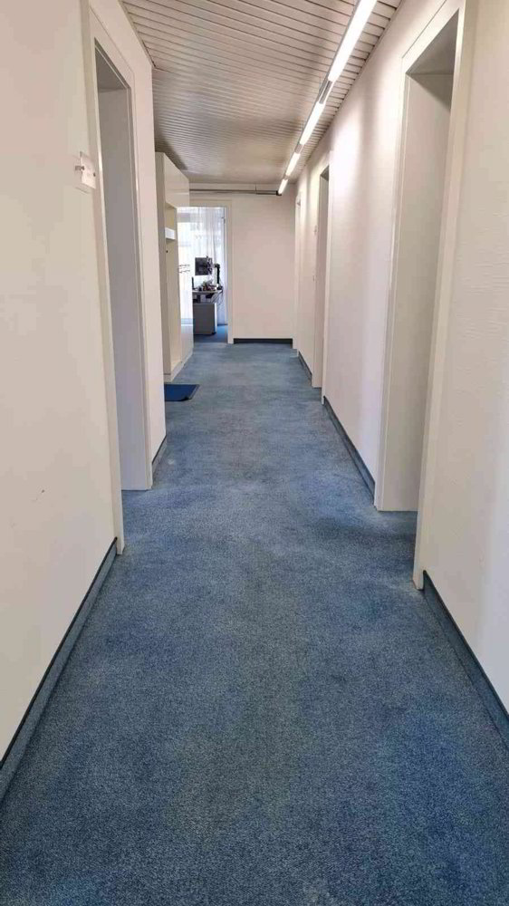 8.5 rooms Office & Commercial for rent in Zürich - image 1/13