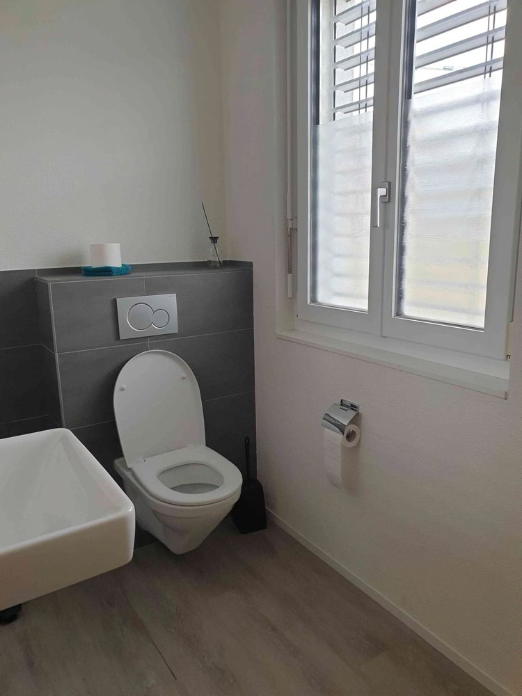 Büro-/ Praxisraum in Gelterkinden für stilles Gewerbe - Ansicht 4