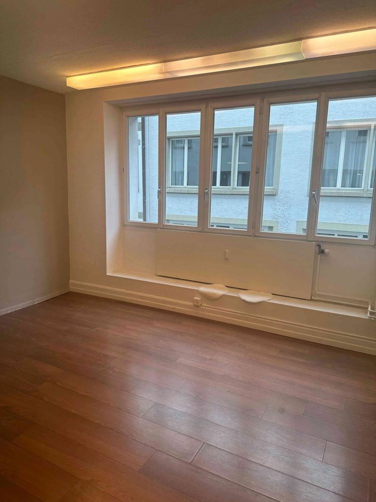 1 rooms Office & Commercial for rent in St. Gallen - image 1/1