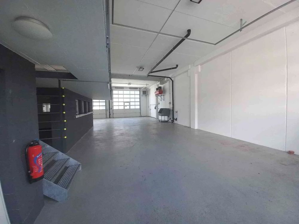 Halle mit 260 m² zu vermieten mit 5 aussen Parkplätze - Ansicht 3