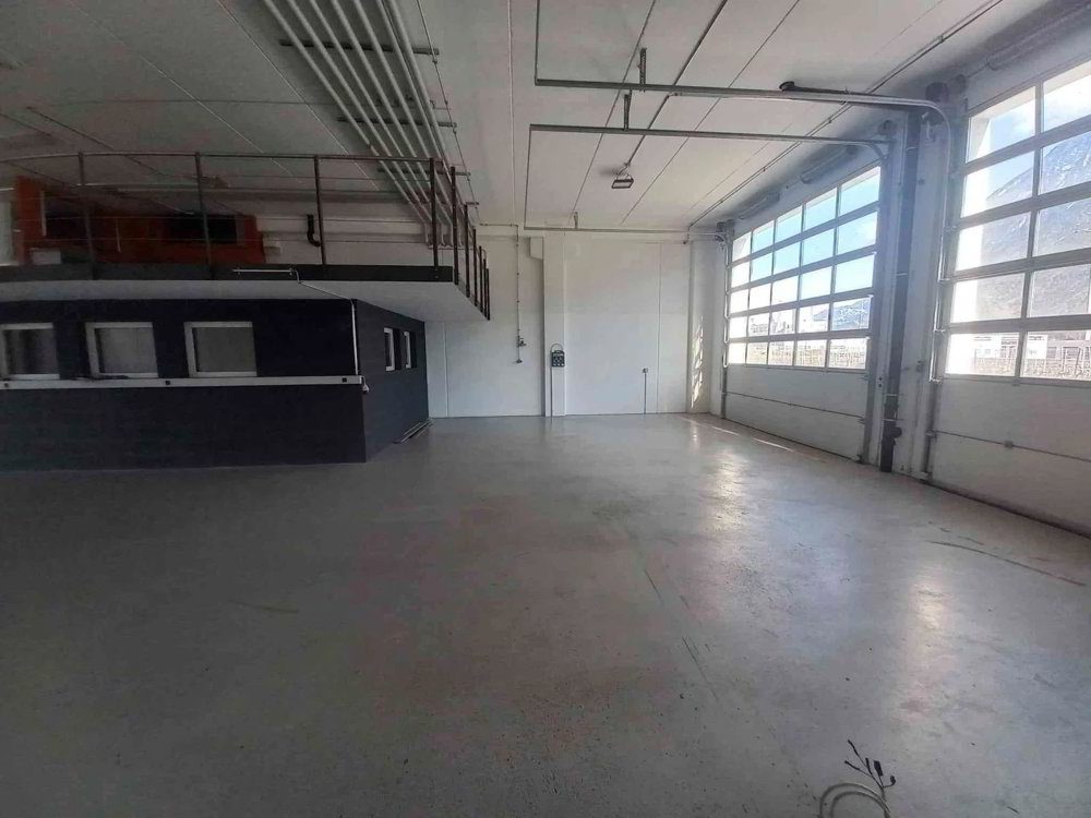 Halle mit 260 m² zu vermieten mit 5 aussen Parkplätze - Ansicht 4