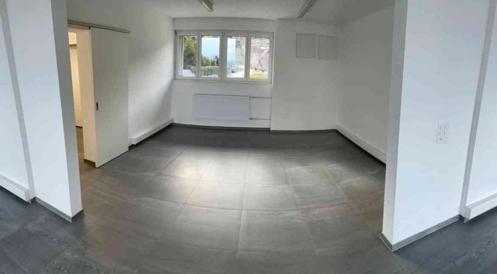 Ufficio & Commercio di 3 locali in affitto a St. Margrethen SG - immagine 1/7