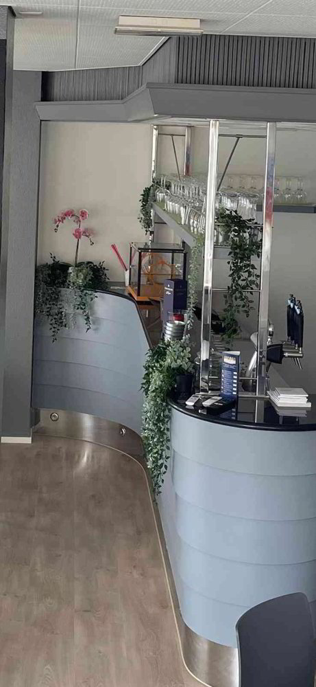 2.5 rooms Office & Commercial for rent in Brissago - image 1/5