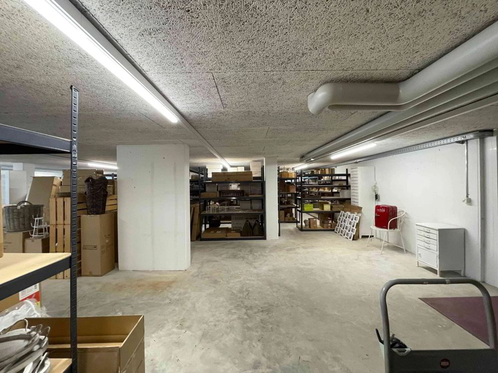 1 rooms Office & Commercial for rent in Ruswil - image 1/4