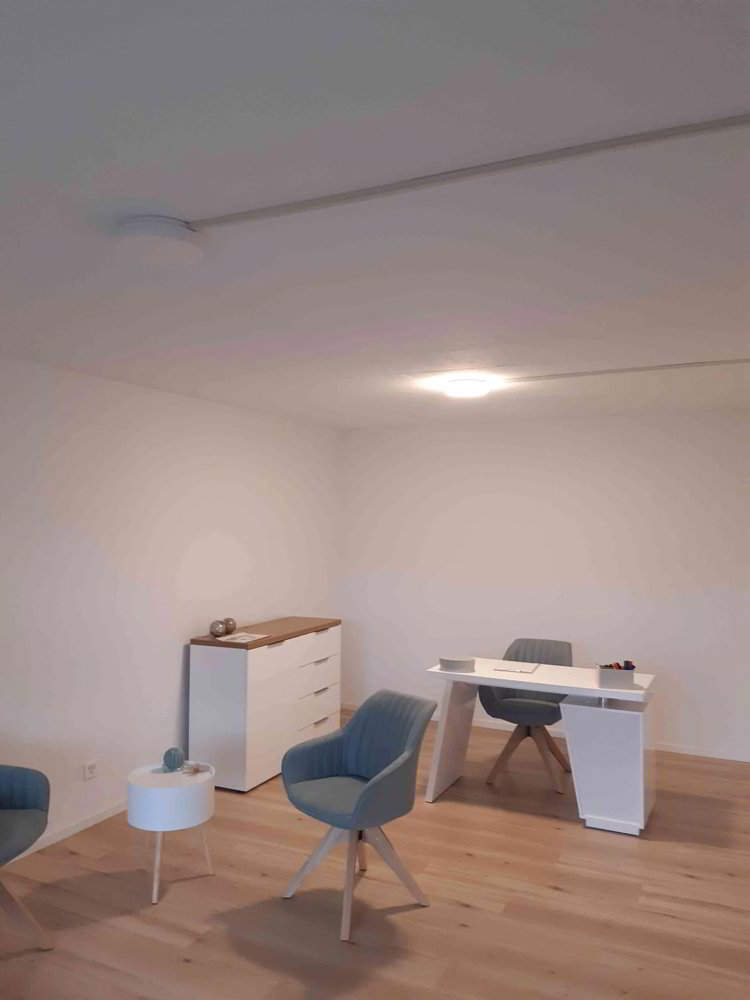 Ufficio & Commercio di 1 locali in affitto a Ruswil - immagine 1/1