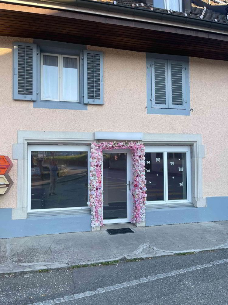 1 rooms Office & Commercial for rent in Hägendorf - image 1/4