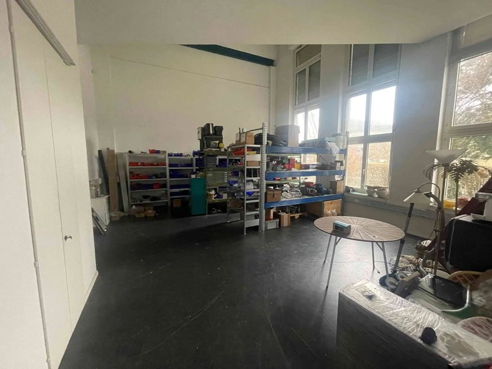 6 rooms Office & Commercial for rent in Schaffhausen - image 1/6