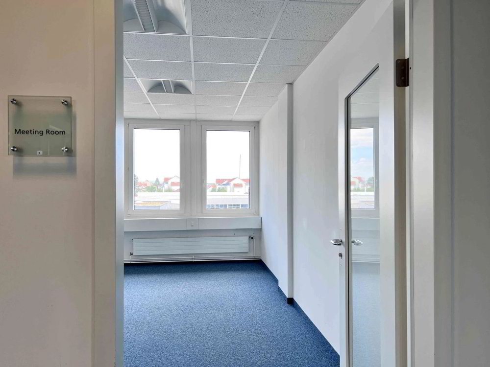 Attraktive Gewerbefläche in Hägendorf – Ideal für Ihr Unternehmen! - Ansicht 5