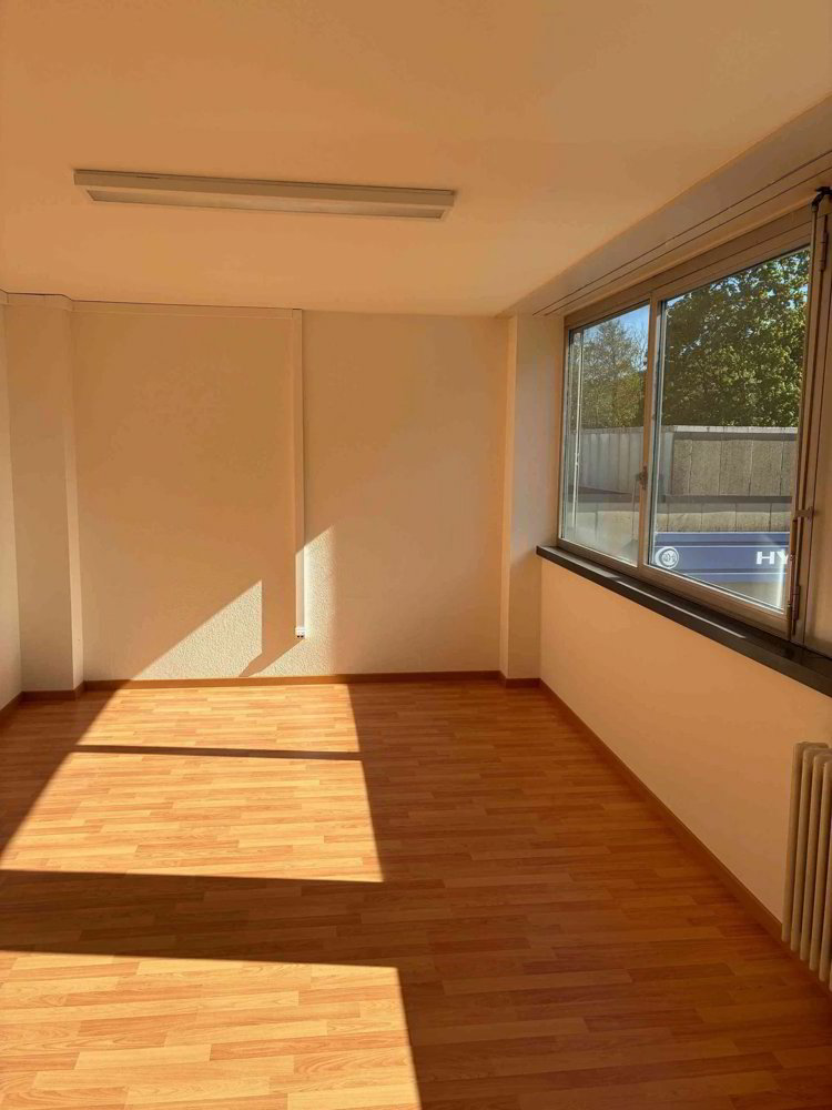 Appartement 4.5 pièces à louer à Reigoldswil - image 1/11