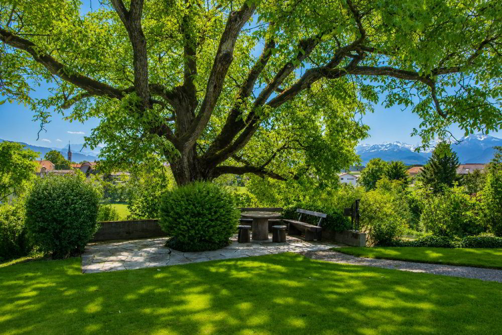 Haus – Kirchdorf BE, Mühledorf BE - Mehr