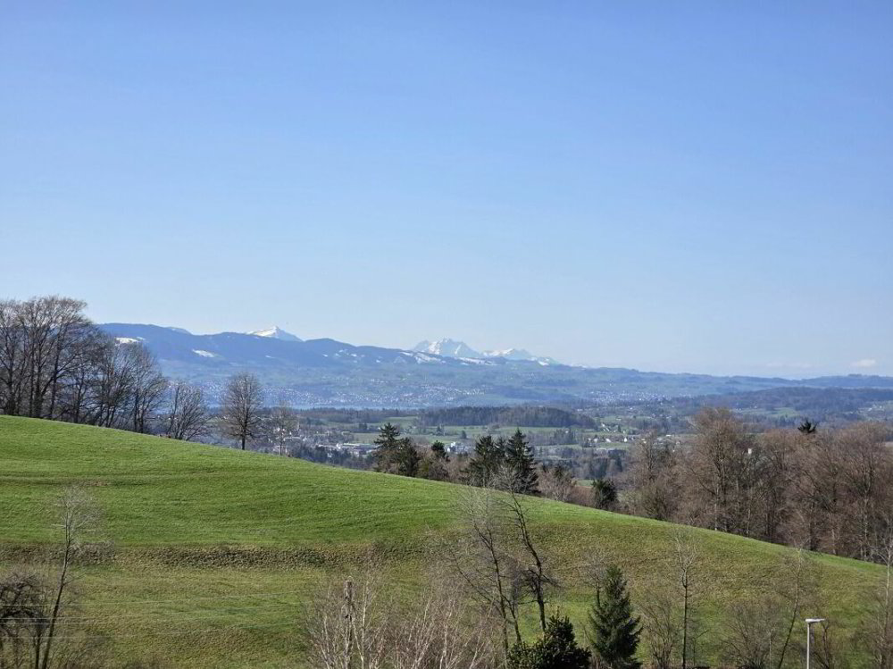 Haus – Hinwil, Langmatt - Ansicht 4