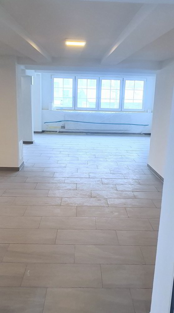 Gewerbefläche mit grosser Terrasse, ideal für Café/KiTa/Pilates- oder Yogastudio - Ansicht 4