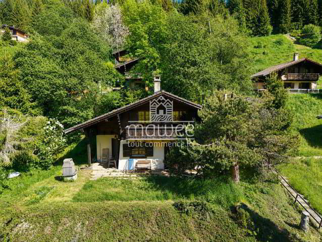 Haus – Morgins