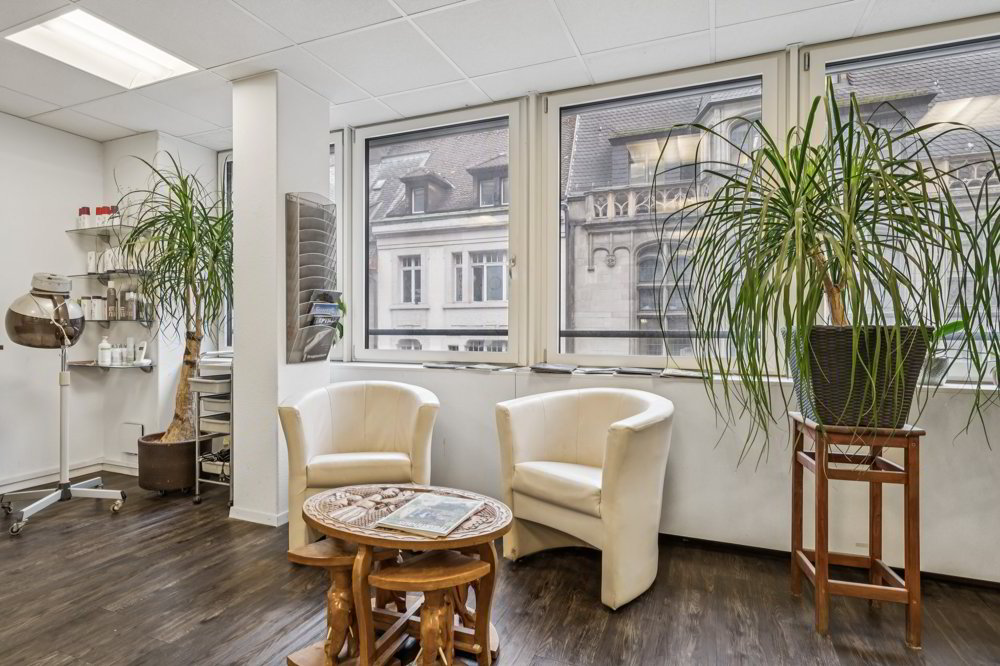 null rooms Office & Commercial for rent in Bâle - image 1/5