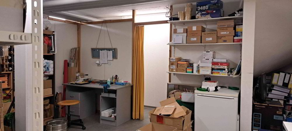 Ufficio & Commercio di 1 locali in affitto a Schiers - immagine 1/13