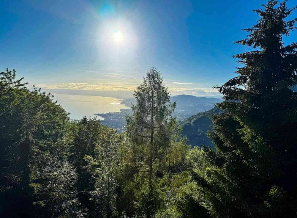 Haus – Caux - Ansicht 5