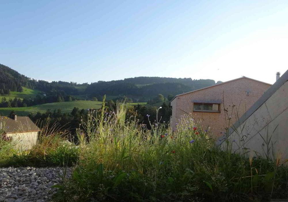 Haus – Reute AR - Ansicht 2