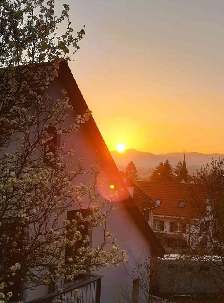 6.5 rooms House for rent in Witterswil - image 1/13