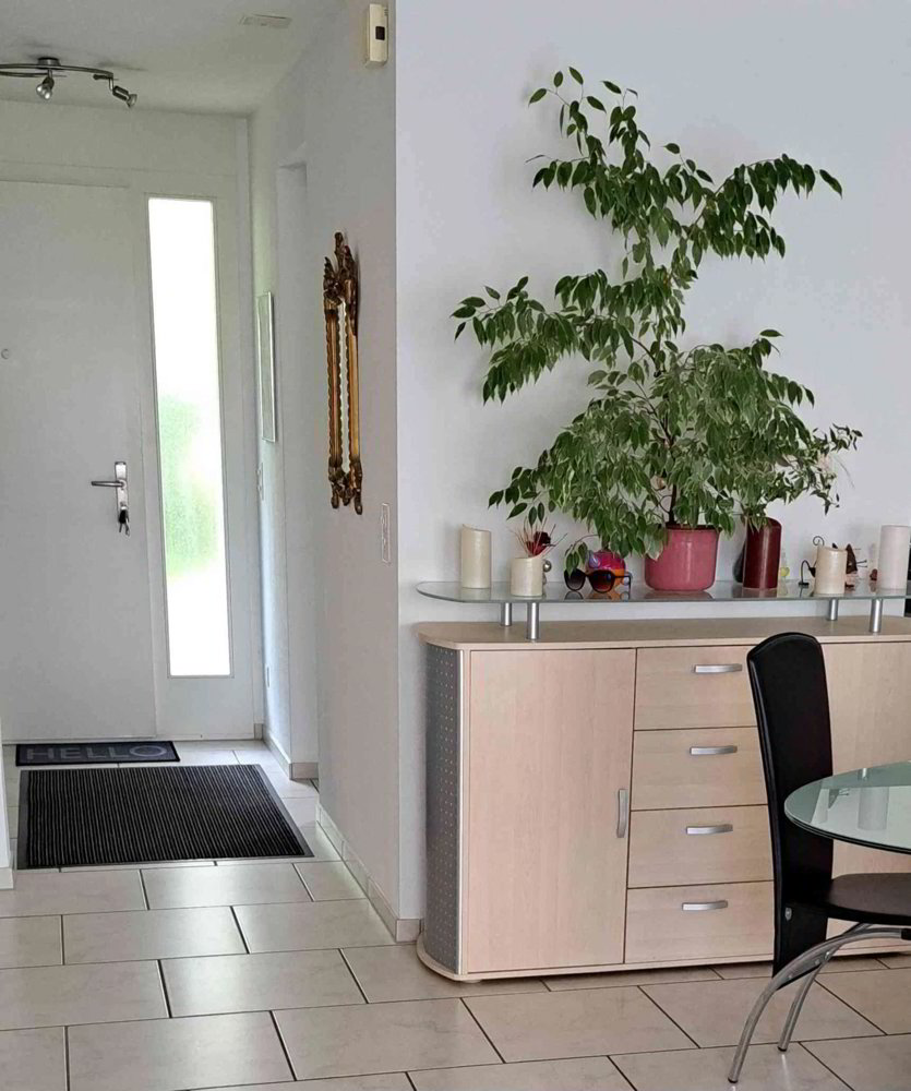 Casa di 5.5 locali in affitto a Reinach BL - immagine 1/9