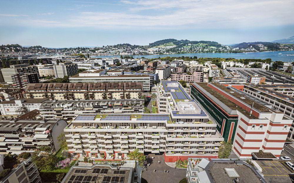 2.5 Zimmer Wohnung zu vermieten in Luzern - Bild 1/8