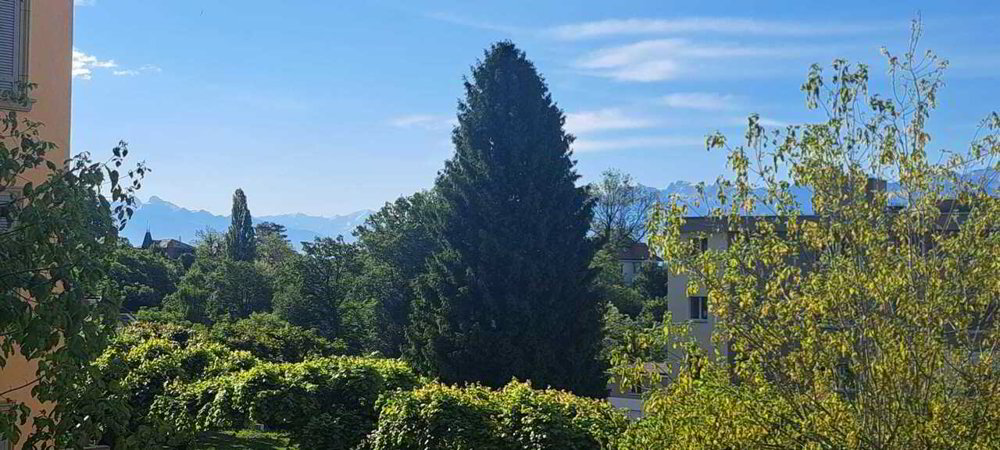 2 rooms Apartment to buy in Lausanne - image 1/7