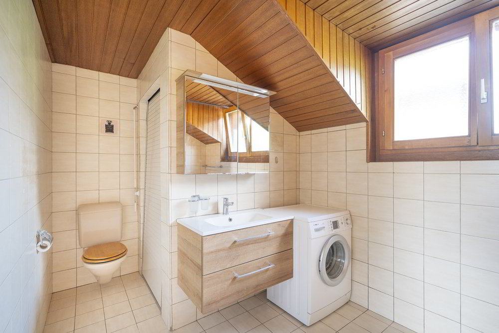 Wohnung – Erde - Mehr