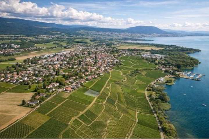 null rooms Land to buy in Cortaillod - image 1/1