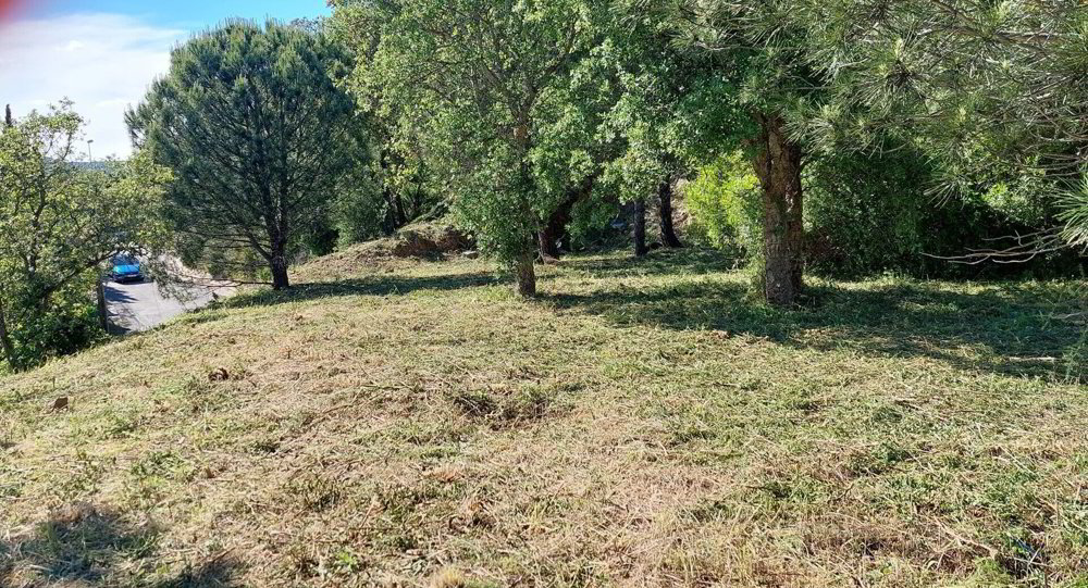 Terrain en vente à LES ISSAMBRES