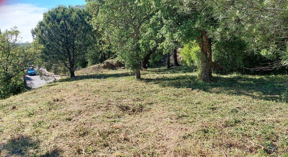 Terrain en vente à LES ISSAMBRES - Ansicht 5