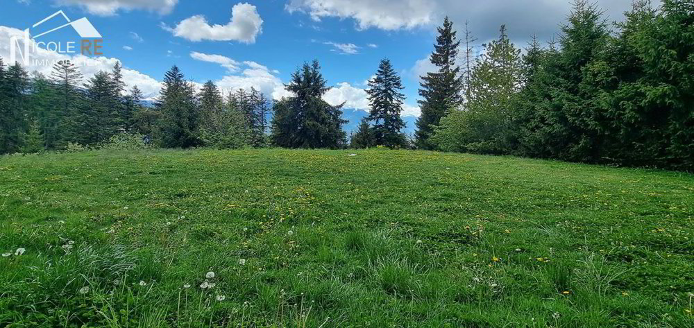 Wohnung – Crans VS, Plans-Mayens - Ansicht 2