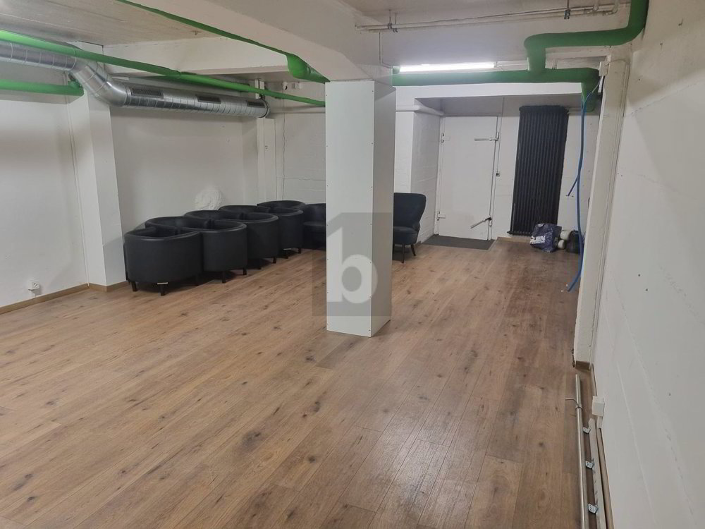 ESPACE D'EXCEPTION À FRIBOURG - Ansicht 4
