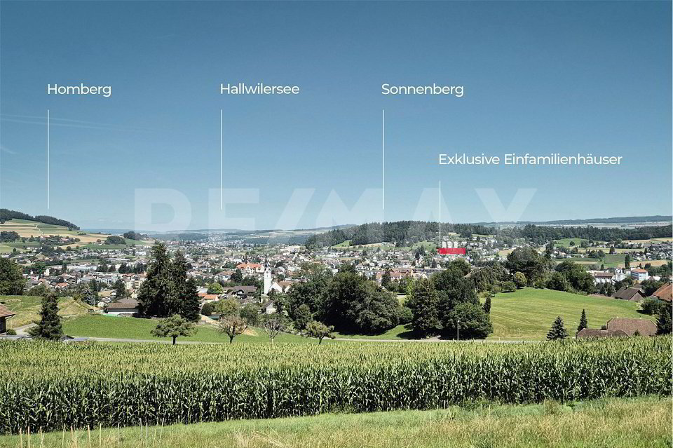 5.5 rooms House to buy in Reinach AG - image 1/10