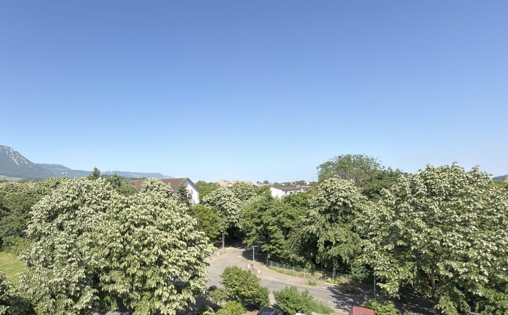 Appartamento di 3.5 locali in affitto a Soletta - immagine 1/16