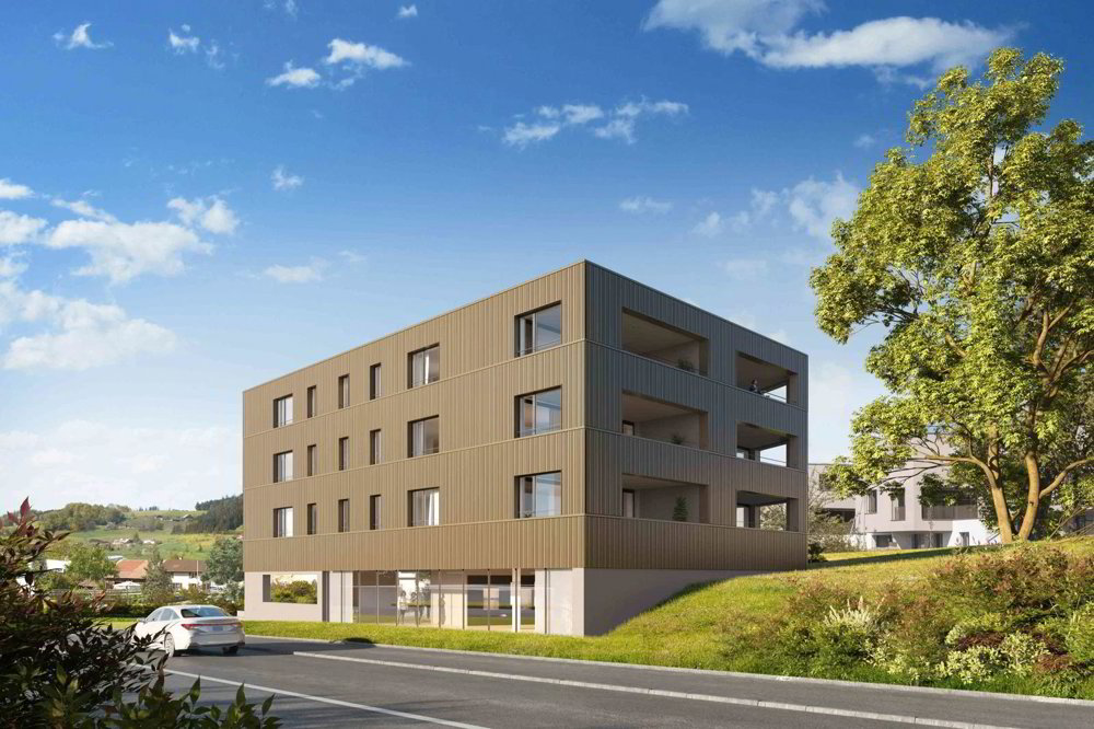 1 rooms Office & Commercial to buy in Buttisholz - image 1/2