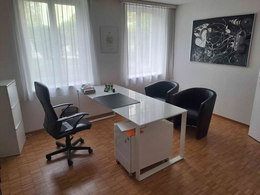 1 rooms Office & Commercial for rent in Thalwil - image 1/8