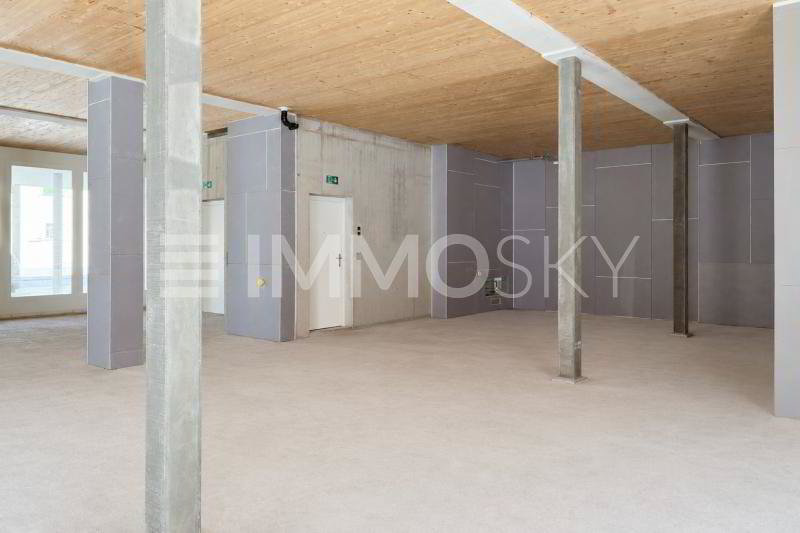 1 rooms Office & Commercial to buy in Ibach - image 1/5