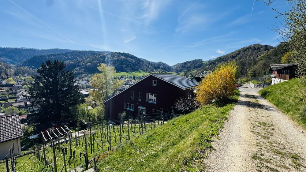 Haus – Oberdorf BL - Ansicht 3