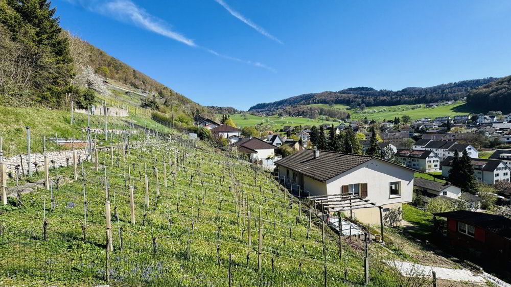 Haus – Oberdorf BL - Ansicht 5