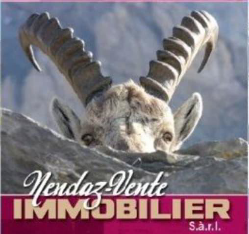Ufficio & Commercio di 3 locali in vendita a Haute-Nendaz - immagine 1/2