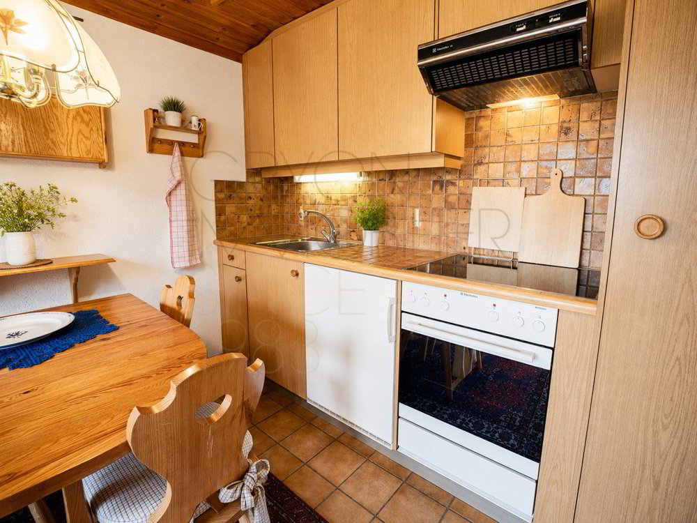 Wohnung – Gryon - Ansicht 4