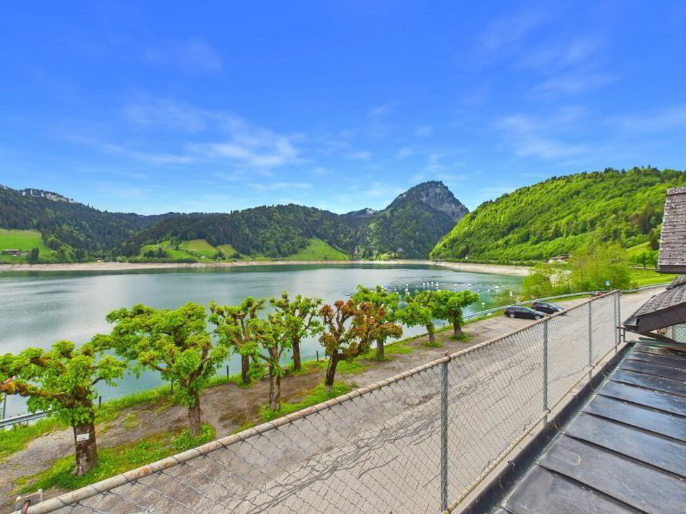 12 rooms House to buy in Innerthal - image 1/13
