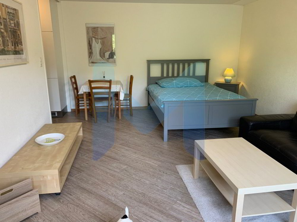 1 rooms Apartment for rent in Moudon - image 1/5
