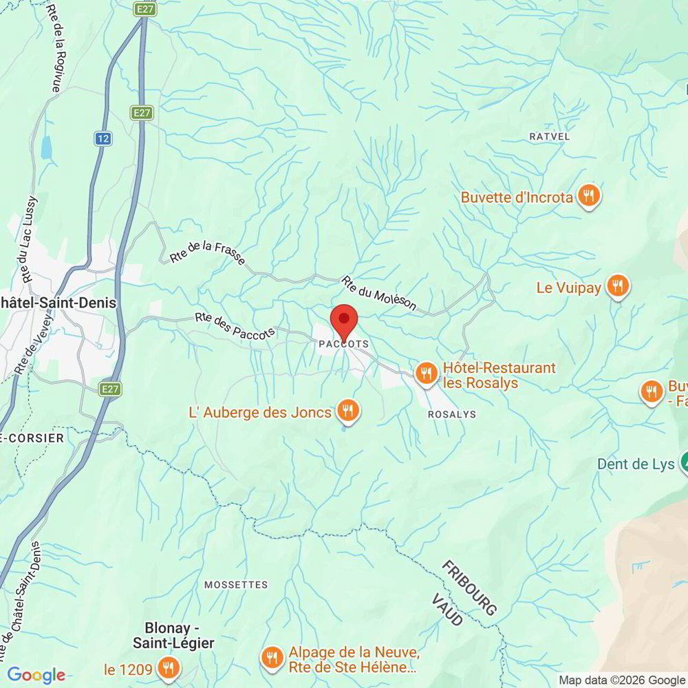 Casa di 8.5 locali in vendita a Châtel-St-Denis - immagine 1/33