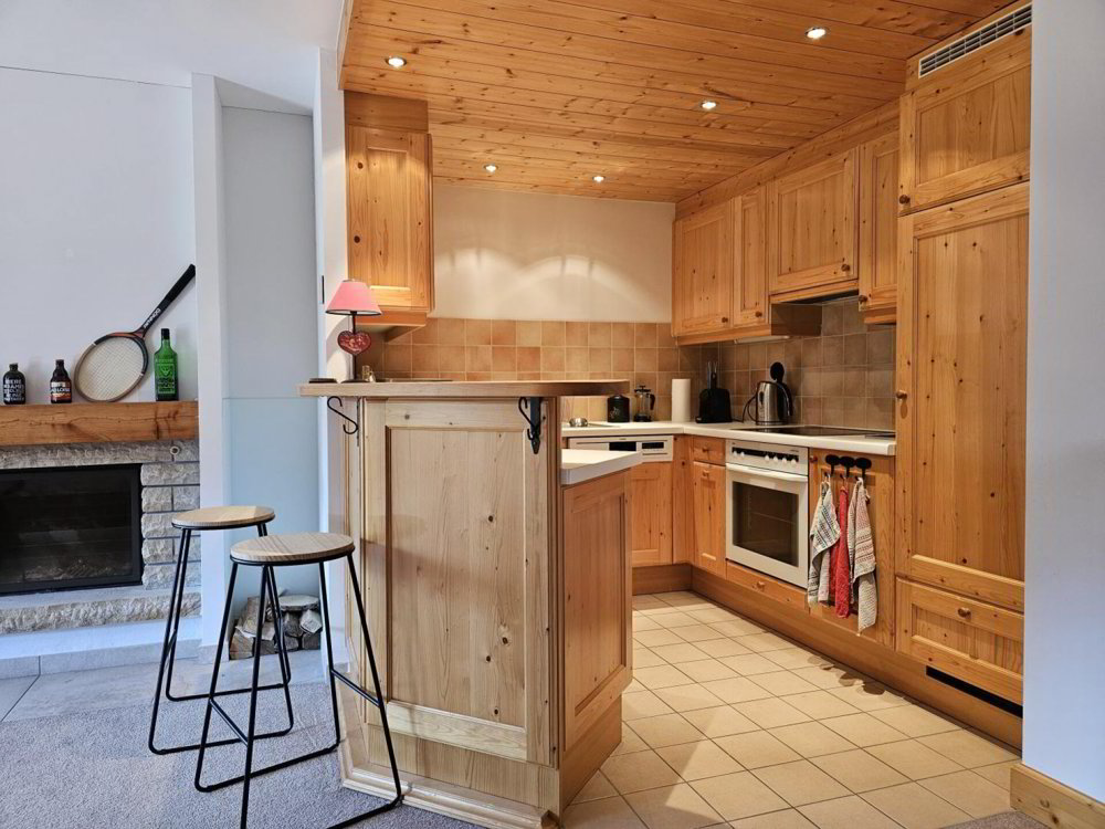 Wohnung – Gryon - Mehr