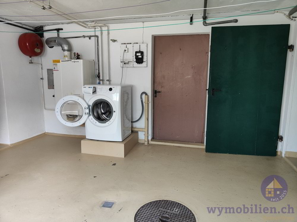 3 rooms Apartment for rent in Kirchberg BE - image 1/13